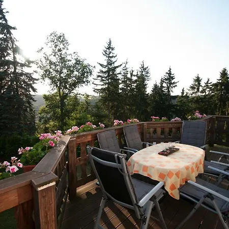 Appartement Schweizer Haus *