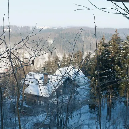 Apartment Schweizer Haus *