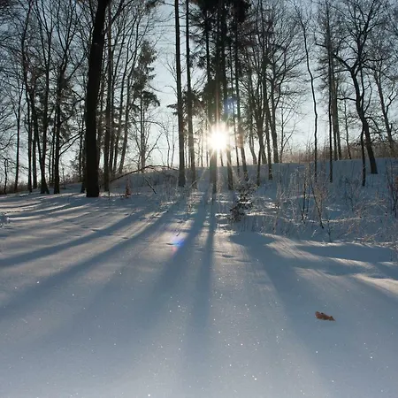 Appartement Schweizer Haus Wippra