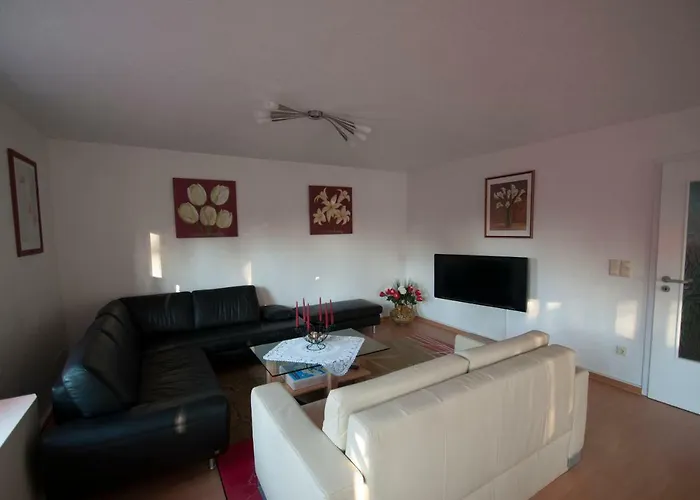 Apartment Schweizer Haus