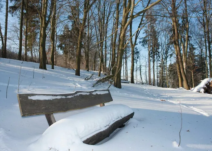 Apartment Schweizer Haus Wippra