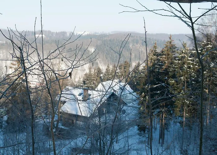 Apartment Schweizer Haus *