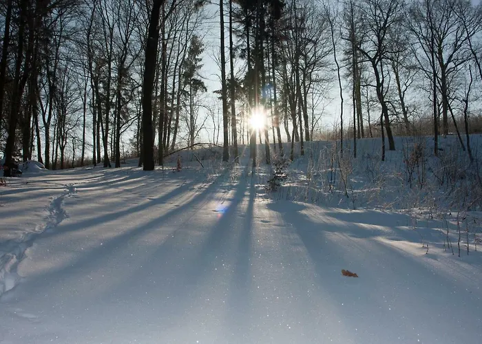 Apartment Schweizer Haus Wippra