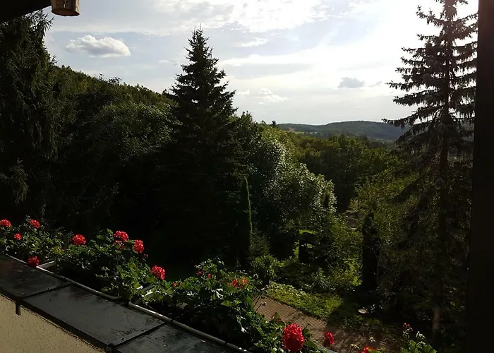 Schweizer Haus * Wippra