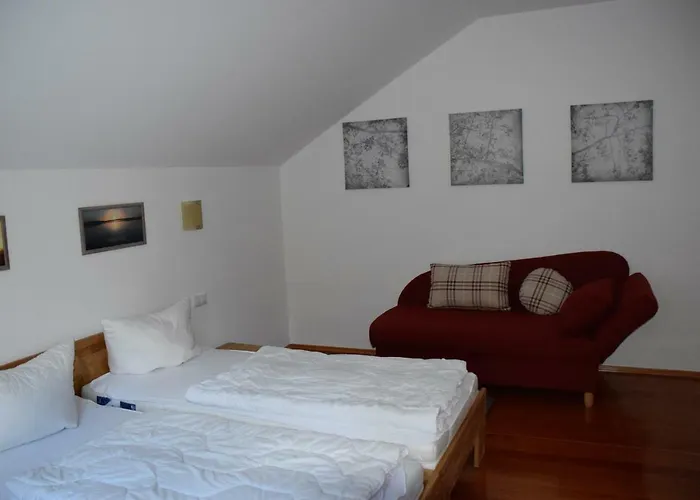 Apartment Schweizer Haus